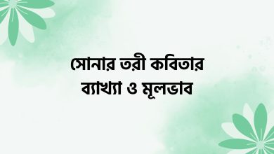 সোনার তরী কবিতার ব্যাখ্যা ও মূলভাব