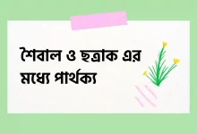 শৈবাল ও ছত্রাক এর মধ্যে পার্থক্য