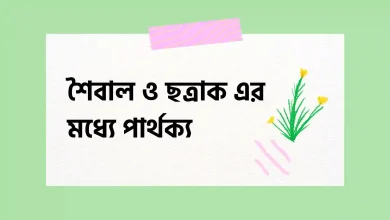 শৈবাল ও ছত্রাক এর মধ্যে পার্থক্য